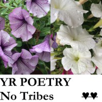 Yr Poetry - No Tribes [EP]